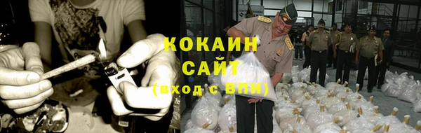 дмт Аркадак