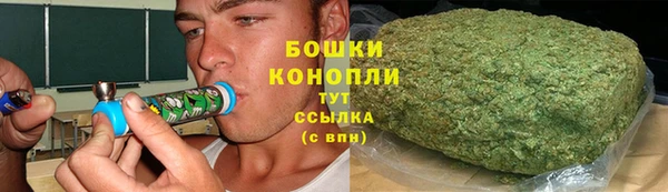 прущие грибы Армянск