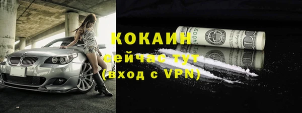 прущие грибы Армянск