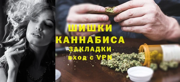 прущие грибы Армянск