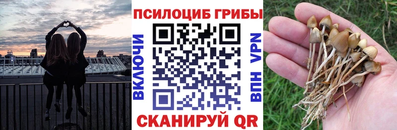 Галлюциногенные грибы мухоморы  мега как зайти  сайты даркнета как зайти  Владивосток 