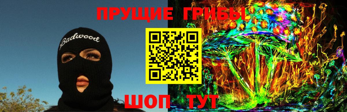 Галлюциногенные грибы GOLDEN TEACHER Владивосток