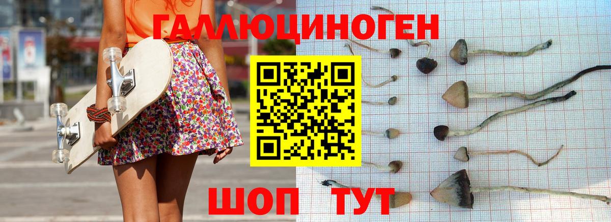 Псилоцибиновые грибы Psilocybine cubensis  Вход с VPN  магазин продажи наркотиков  Галлюциногенные грибы прущие грибы  Владивосток 