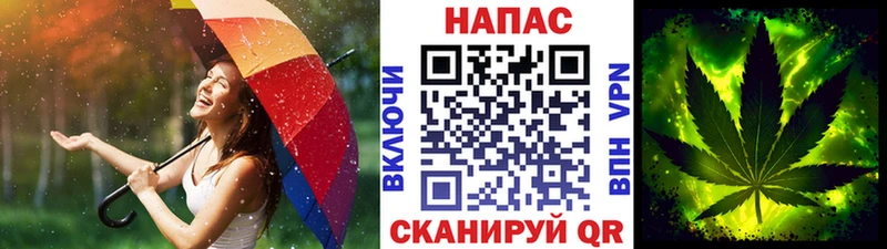 закладка MEGA маркетплейс Шишки марихуана планчик Владивосток